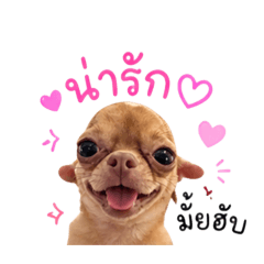 TanTan_20260429182737