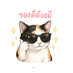 Cat jooju_20260429182817