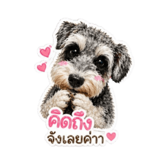 ITSTUU_20260429182808