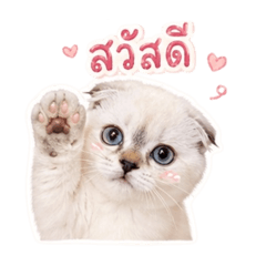 Butter.Nuey_20260429183415
