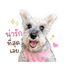 ITSTUU_20260429183736