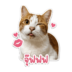 Supakorn_20260429190620