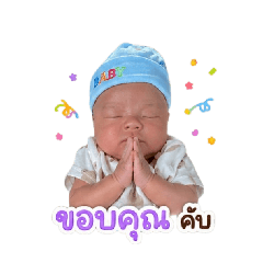 kamo_20260429190954