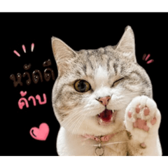 Kwang_20260429191046
