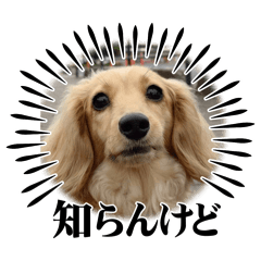 me_20260526204038