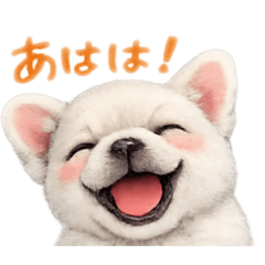 dogLOVEdogLOVE