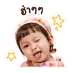 Pangpang_20260429191606