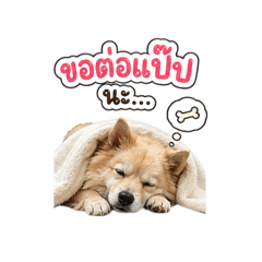 so cute_20260429191829