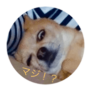 raimukun