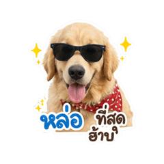 Nay_20260429192423
