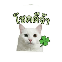 NAMM*NUALL =^^=