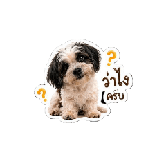 Mompanda_20260429192459