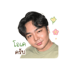 Version one of NAVA