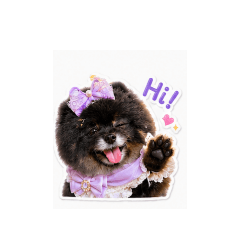 Baan pow pow_20260429193537