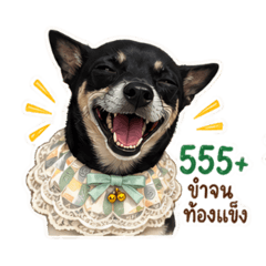 Dogggg_20260429194434