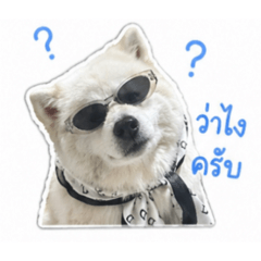 Nongmoney_20260429194659