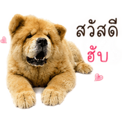 Saichon.S_20260429194743