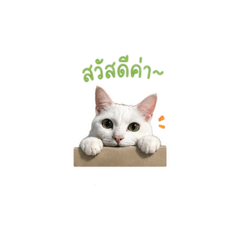 AvaRin_20260429194910