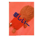 kumapinn