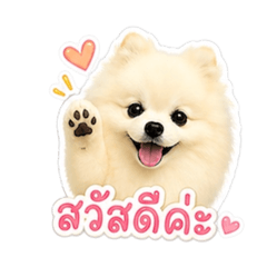 aaieaiee_20260429194941
