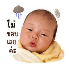 Mata_20260429195234