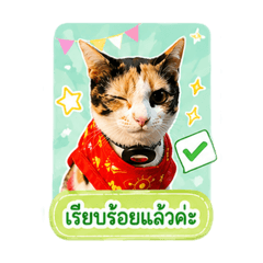 BE ME_20260429195604