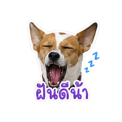 wannapha_20260429203444