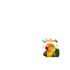 Jikhonshop_20260429202759