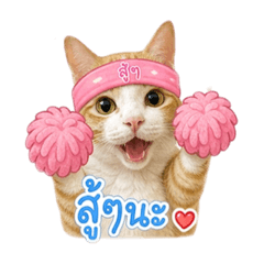 Moopingkub