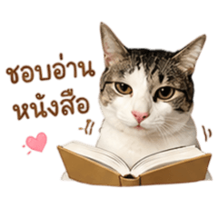 Payday for Cats_20260429202801
