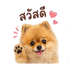 Judy_20260429203043