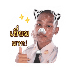 cat_20260429203248