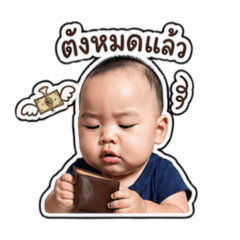 mexymew_20260429204333