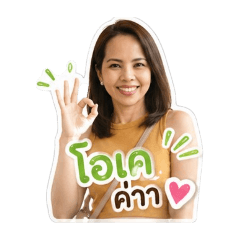 Lisa dsr_2