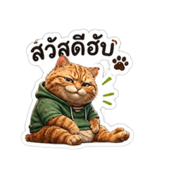 Sunsnack_20260429210857