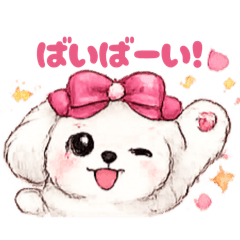 tomatomato_20260527003809
