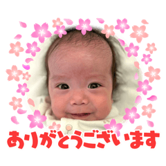 nagozo_20260527004034