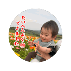 RISA_2026060922512644
