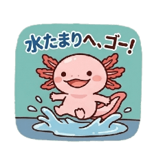JAPAN@TOMO_20260527192027