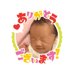 momo_20260527201320