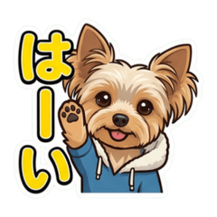 Luke_20260527201632
