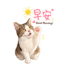Cozy Paws｜暖心貓咪日常問候