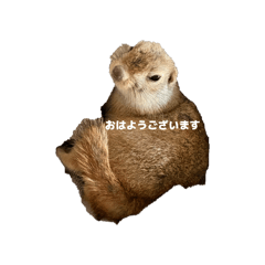 Haruka_20260527151510