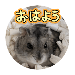 Mana_20260527150537