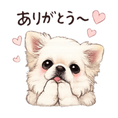 hana_20260527155940