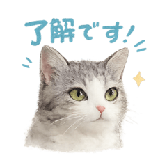 rei_20260527203909