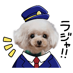My Beloved Miniature Poodle Stickers