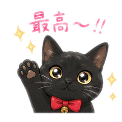 Makorin_20260527205812