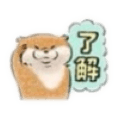 Kyokyo_20260527205223