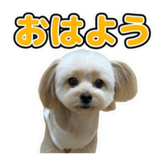 chanchan_20260608115654